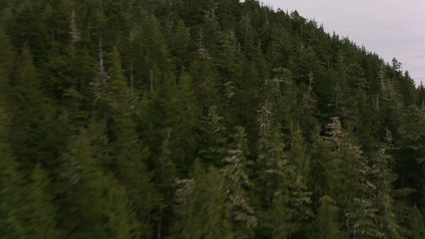 British Columbia circa-2018. Flying over inlets and lakes along the British Columbia coast. Shot from helicopter with Cineflex gimbal and RED Epic-W camera.