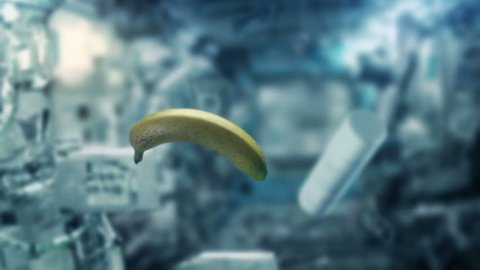 Banana And Objects Floating Inside Space Shuttle