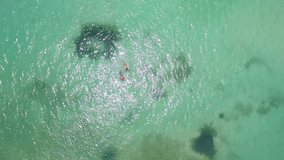 Couple Snorkeling In Tropical Ocean by Overhead Aerial Drone