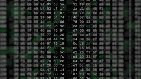 close up view of hexadecimal code scrolling on screen, concept of hacking, internet, big data, software developing (3d render)