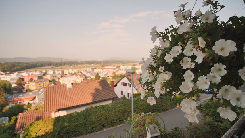Flower pot on the background swiss rural near Zurich. Neiderrohrdorf city. Switzerland.