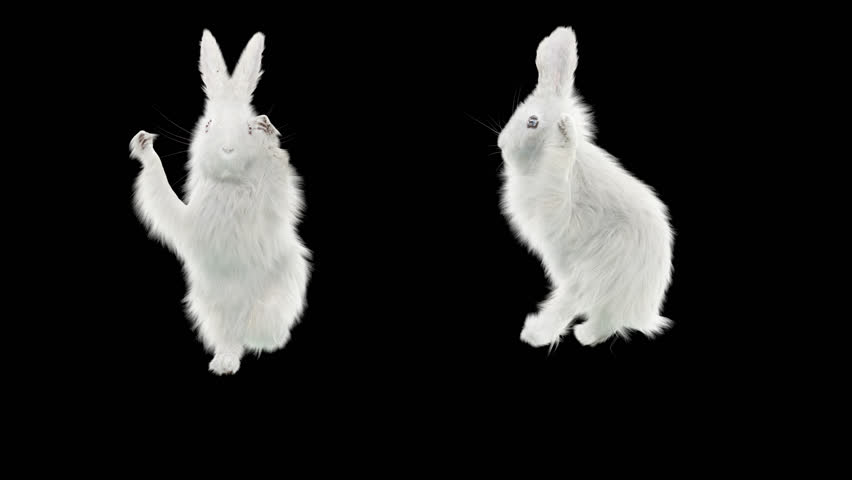 White Rabbit Cg Fur 3d Stock Footage Video (100% Royalty-free ...