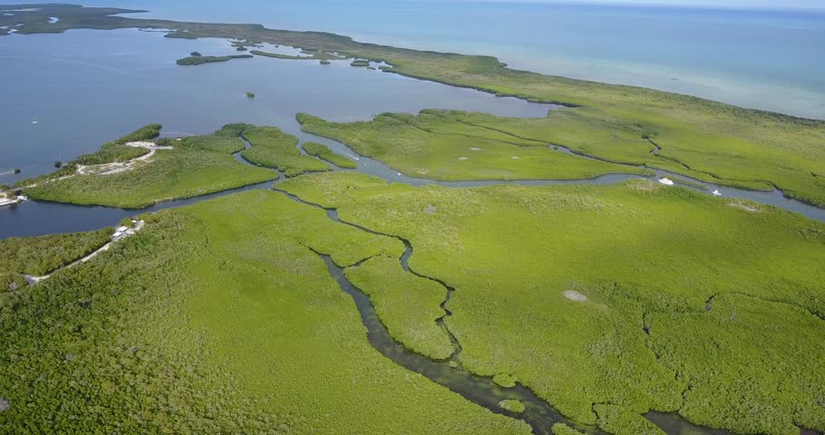 AERIAL: slowly lowering over the unique, mangrove infested, terrain of Key Largo, Florida.