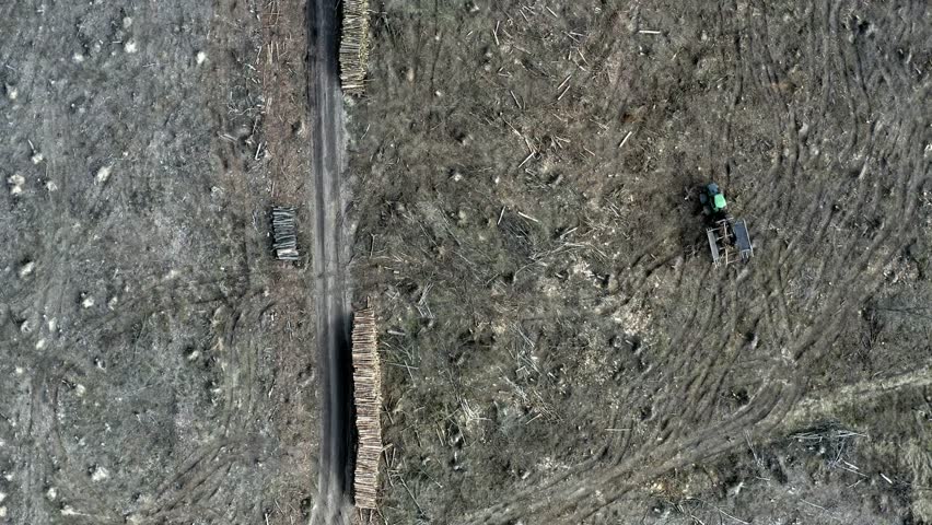 Deforestation, environmental destruction, aerial view, Poland