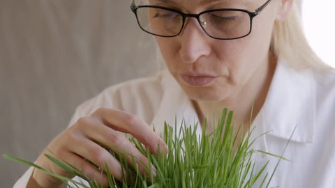 Biochemist woman examining green plants, botanist studying organic vegetables.