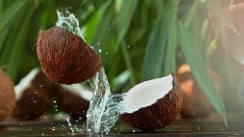 Super Slow Motion Shot of Water Splashing from Coconut at 4K.