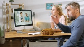 Medium shot of serious woman, man and little girl sitting at table with cute guinea pig and talking to online vets via video call on computer