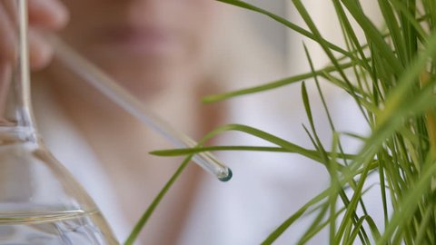 Close-up of a woman's face, looking at the growing stems of a green plant, touching them with a glass rod.