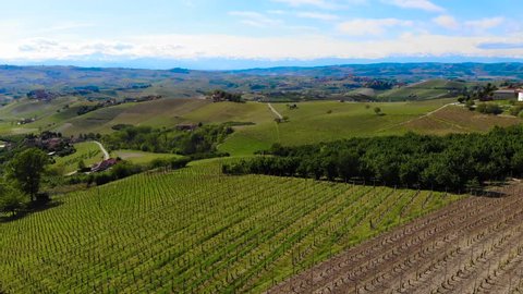 Italian Vineyards, Langhe in Piedmont, Aerial