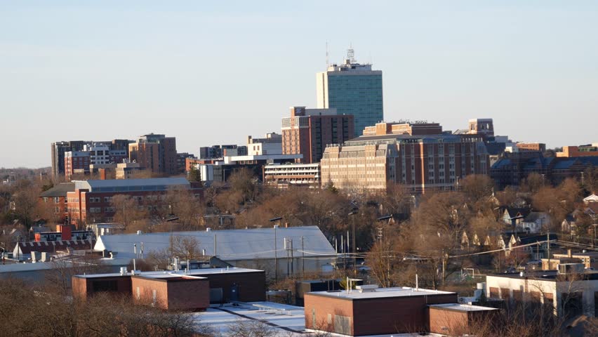 The view of the cityscape of Ann Arbor, Michigan during sunset on a clear day.