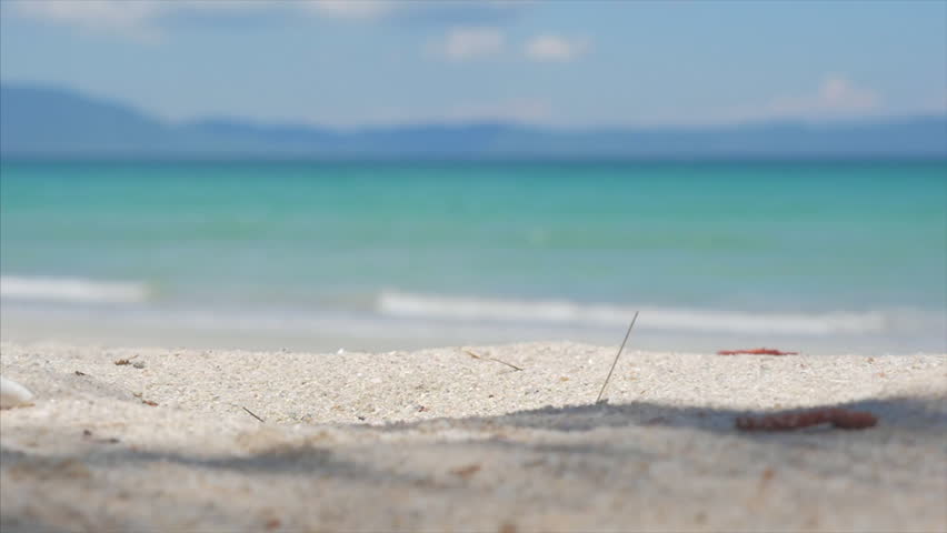 Close-up of a tropical beach, a coconut falls from a palm tree and shatters in half, splashes of coconut juice fly in different directions.  Summer, sun, coconut split in two on the sand of a tropical