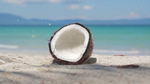 Close-up of a tropical beach, a coconut falls from a palm tree and shatters in half, splashes of coconut juice fly in different directions.  Summer, sun, coconut split in two on the sand of a tropical