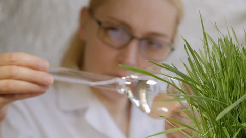 Close-up of a woman scientist looking at the contents of a glass flask with a clear liquid next to the growing green grass.