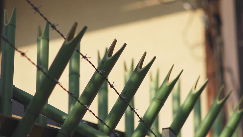 Bamboo fence with barbed wire.