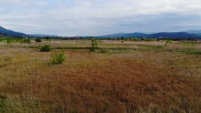 An aerial view from lush Aegean marshes. Shot in  Akyaka (Gulf of Gokova, Aegean Sea) on a spring day.
 - Powered by Shutterstock - Get 15% off with code: PIKWIZARD15