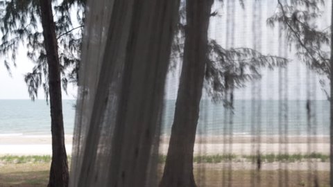 Blowing transparent curtain by the beach and pine tree.