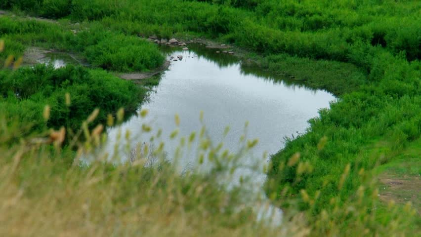 Summer, day, view from the hill to the river with grass in the foreground.