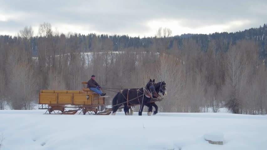 Horse Pulls Carriage Through The Snow With Mountains In The Background 2