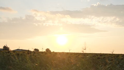4K Shoot Of Wind Mills at sunset