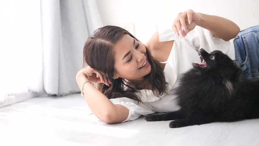 Happy Asian woman lying on floor and touching her black dog with window light, lifestyle concept.