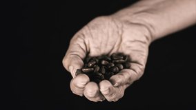 Hand Holding Fresh Coffee Beans, Slow Motion clip on Black Background