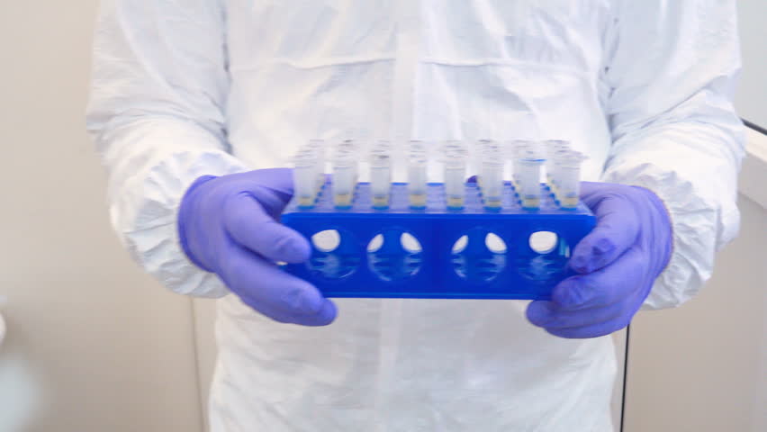 Close-up a scientist hands carries a blue tripod with test tubes on the PCR device. Samples in eppendorf for PCR. A scientist enters the laboratory with a tray of test tubes filled with samples.  Royalty-Free Stock Footage #1028600729
