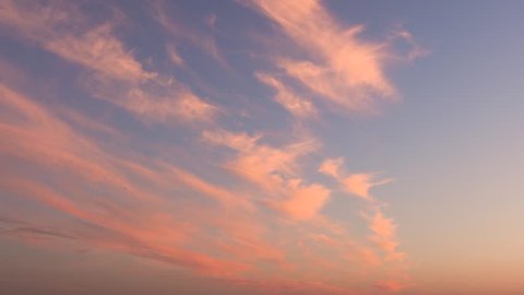 Pink Cirrus Clouds Float Across The Sky During A Call In The Summer. Concept Of A Warm Summer Romantic Weekend