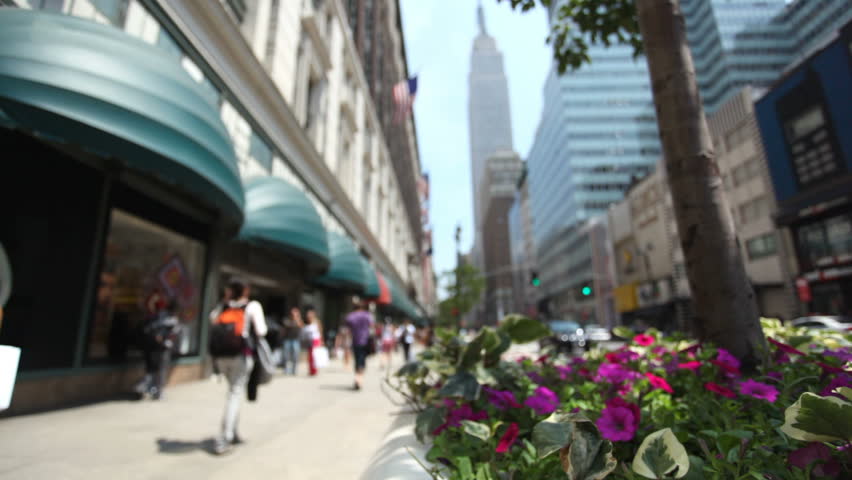 People walking down 34Th street in New York City. Focus is on flowers and leaves in tree pot.