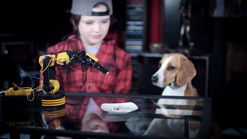 4k Child Boy Feeding the Dog with Robotic Arm
