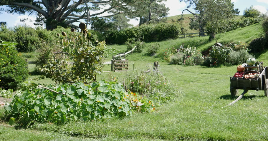 Panoramic shot of the gardens in the movie set Hobbiton, New Zealand with butterflies flying, hanging clothes, flowers, a wooden wheelbarrow and hills, on a sunny day