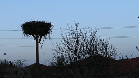 empty stork nest, waiting for their owners,
storks nest in the spring months
