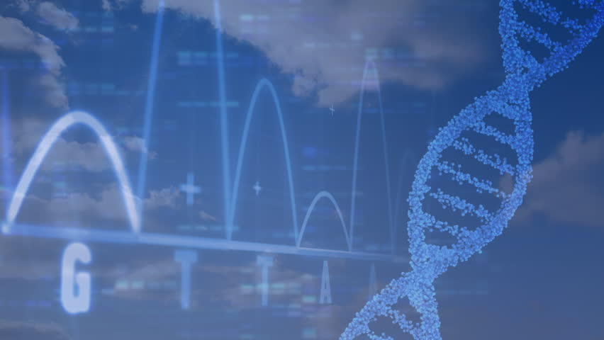 Cinematic view of the next-generation DNA sequencing. A moving DNA strand on the right, DNA code on the left, and DNA sequencing on the blue background Royalty-Free Stock Footage #1028636834
