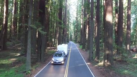 Family van towing a camping trailer drives through the redwood forests of california on a road trop while passing a fallen log