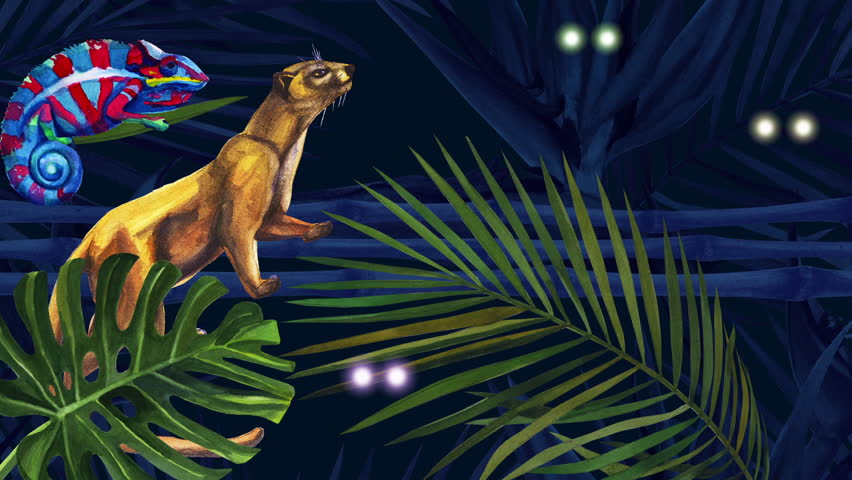 Cartoon Jungle Madagascar. Night and day in the rainforest. Flashing eyes of wild animals. Jungle Madagascar. Flashing eyes. Lemur and fossa. Palm leaf is moving.