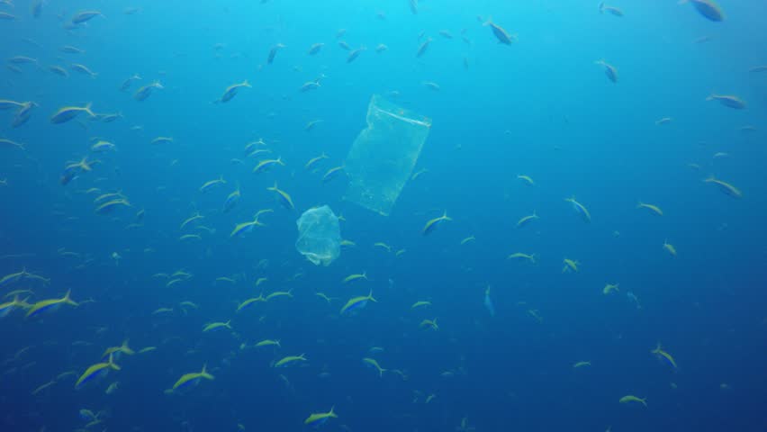 Plastic bags environmental pollution problem. Bags and fish in ocean  Royalty-Free Stock Footage #1028667035