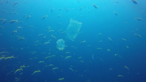 Plastic bags environmental pollution problem. Bags and fish in ocean 