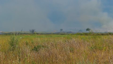 Fire Situation In Europe Region In Spring. Burning Dry Grass