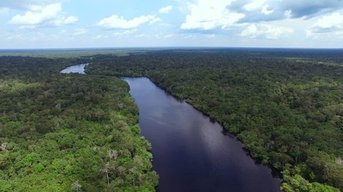 Beautiful Amazon river in Brazil