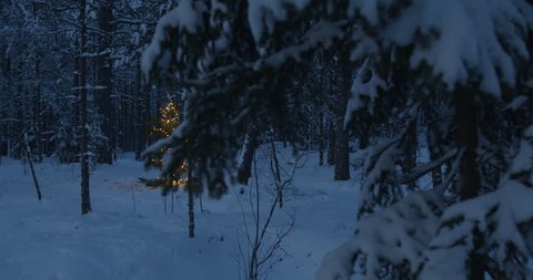 Christmas tree in lights in forest gimbal shot
