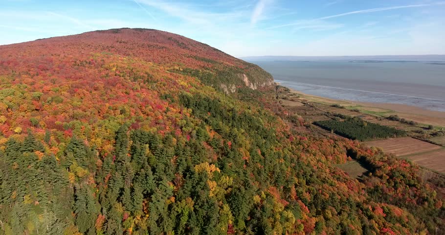 The forests in Quebec (Canada) turn red and yellow during the autumn. That give this magical spectacle.