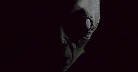 Grey alien face expression close up