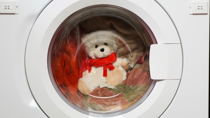 washing machine teddy bear