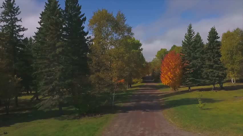 Colorful Autumn Trees in Minnesota