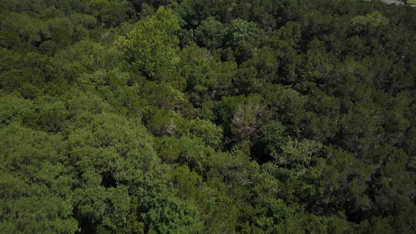 Aerial reveal of Pennybacker bridge and Lake Austin in Austin, Texas