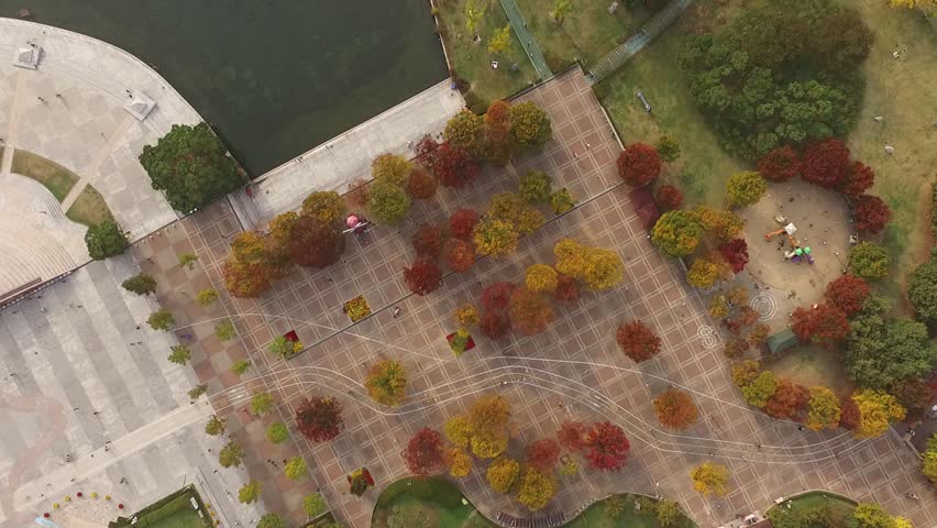 October 22, 2016 Autumn Leaves trees painted in lake side park, Ilsan City, Gyeonggi Province.