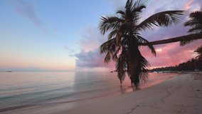 Beautiful sunrise over the tropical beach and exotic palm tree. Punta Cana resort, Dominican Republic