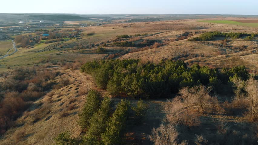 Aerial view on remnants of coniferous forests after illegal logging traces from grubbing on hill