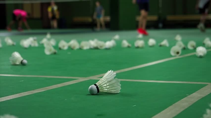 badminton indoor game