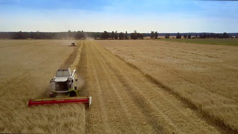 interesting close view modern powerful harvester with wide-cut reaper moves to camera making straw rolls on vast field
