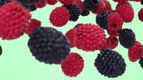 Black and red raspberries falling down in slow motion. 4K 3d render animation footage with alpha channel and green screen.